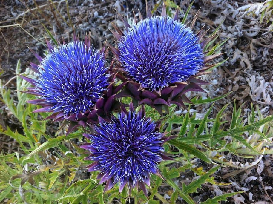Mini Blue Σπίτι διακοπών Κερατόκαμπος