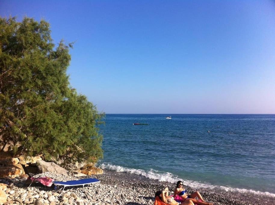 Mini Blue Κερατόκαμπος