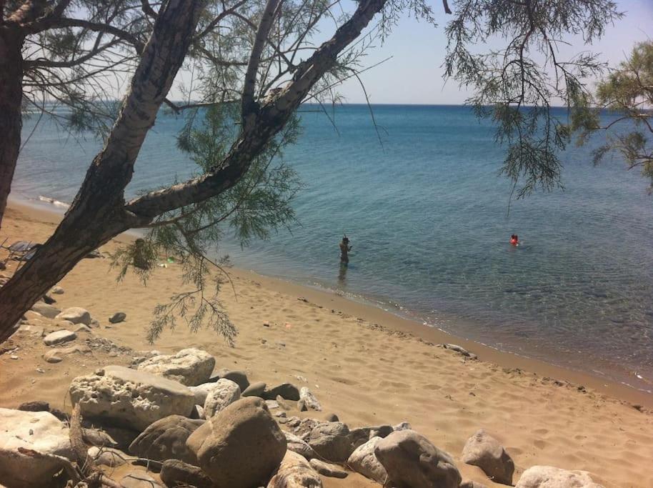 Mini Blue * Κερατόκαμπος
