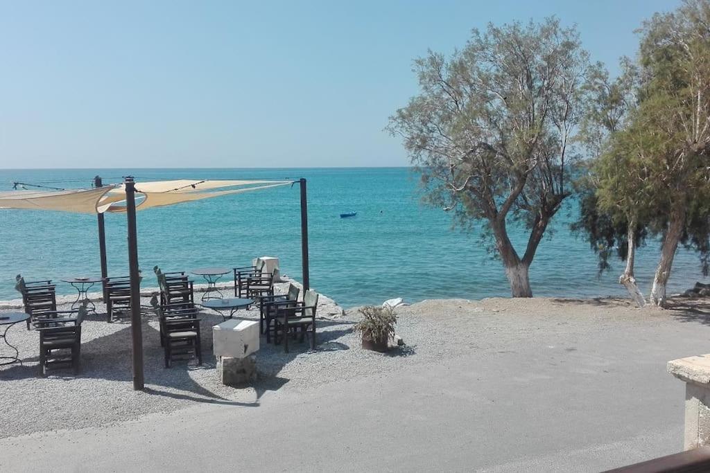 Mini Blue Κερατόκαμπος
