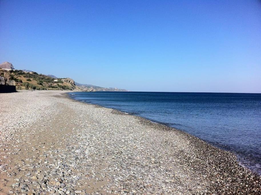 Mini Blue * Κερατόκαμπος