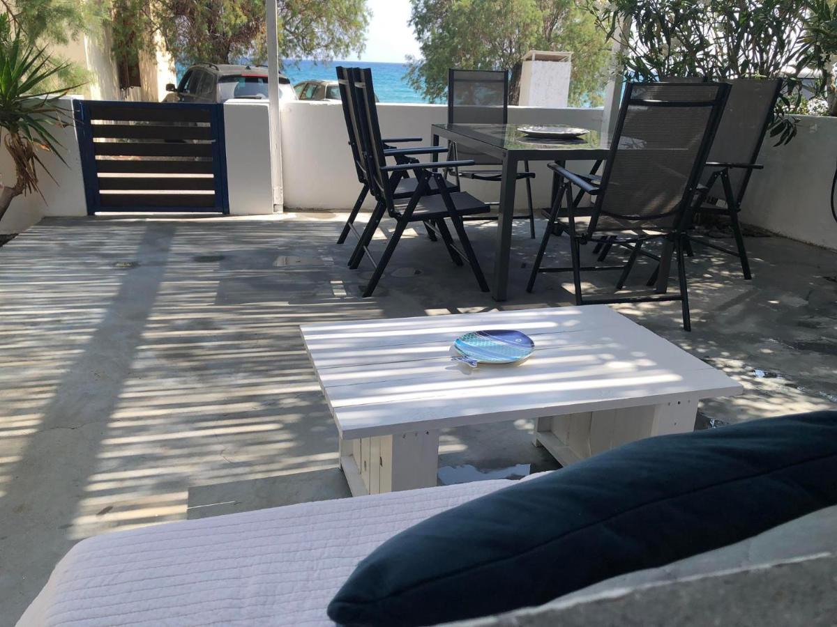 Mini Blue Κερατόκαμπος